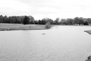 City of Martin park provides various aspects of outdoor entertainment such as fishing, walking/running track and a playground set. (Malorie Paine)