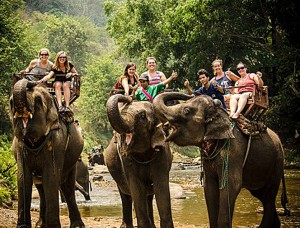 Mary-Katherine Hill and her team mates experiencing what its like to ride an elephant in their natural habitat of Thailand. (Mary-Katherine Hill)