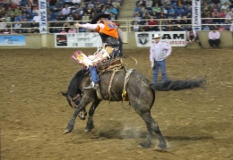 Senior Allen Foster competes in the saddle bronc competition where he received fourth overall for the weekend. (Malorie Paine)