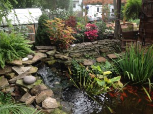 Dr. Coffey helped Dr. Hill build a koi pond in her backyard before they were married, and now they get to enjoy it together. (Julie Hill)