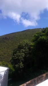 The view from the beginning of the walkway down to the dorms at the University of the Virgin Islands on Saint Thomas. (Kaitlyn Wilson)