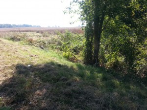 Scene of the accident of two men killed on Saturday, Oct. 12. Photo by Kara Kidwell, Pacer Staff.