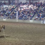 Calf Roping at the 46th Annual UT Martin Rodeo on April 11, 2014.