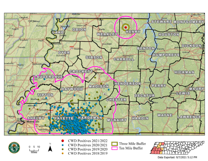 CWD in Northwest Tennessee